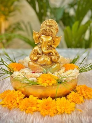 WhatsApp Image 2026-02-07 at 3.38.59 PM